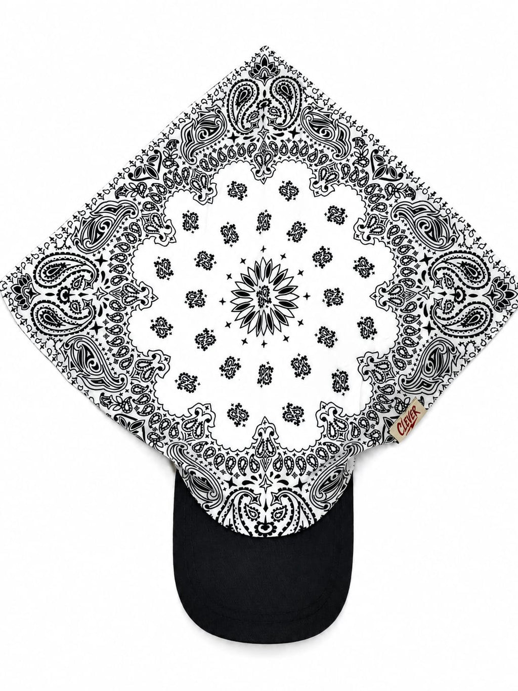 Crisp White and Black Paisley Brimmed Bandana